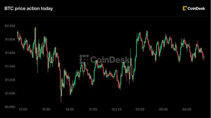 Live updates: Bitcoin holds above $81,000 as the AI rout fades and oil climbs